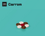 Carrom (Clubhouse Games: 51 Worldwide Classics)